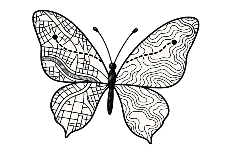 Isolated reconstructed artist reference: Two places. One butterfly.